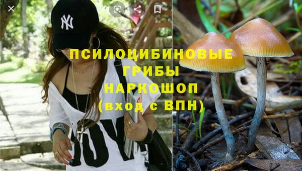 a pvp Инсар