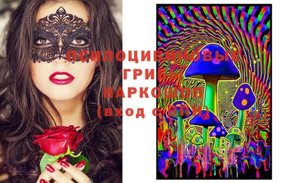 apvp Касимов