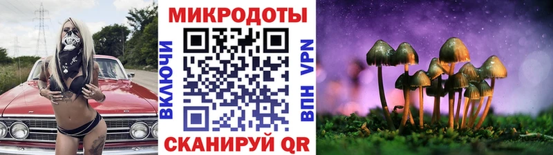 Псилоцибиновые грибы прущие грибы  где можно купить   Костерёво 